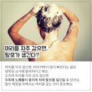 우리가 잘못 알고 있는 탈모 상식, 팩트 체크 5 이미지