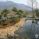 청소년수련마을 보람원