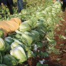 우리들원예사 이미지