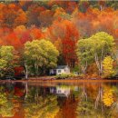 오렌지세탁 이미지