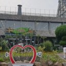 송진우동물병원 | 2019.6.30일 어린이대공원을 걷고나서(2019.72)-이규석