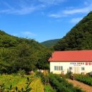 이상봉농장 이미지