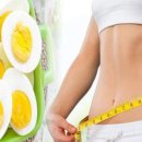 달걀, 생채소 꾸준히 먹었더니 이미지