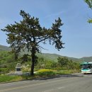 배둔시장 | 160. 남파랑길 제13코스 고성배둔버스터미날-통영황리사거리 20.9km (2023.04.21-22)(13/90구간. 218.8...