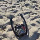 노을빛바다민박 | 강원도 삼척시 장호해수욕장, 스노쿨링, 장호항 민박, 갈남항, 삼척해상케이블카( 2025.07.21)