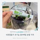 네츄럴올가 유기농 컬리케일 분말 가루 직접 먹어보고 느낀 생생하고 솔직한 후기예요