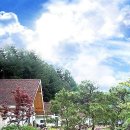 하이디하우스
