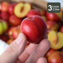 자두 - 부산진구 중앙대로 737 | 자두