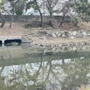 본도시락(달동,야음점)식당 | [내돈내산 또또또간집] 도넛 맛집 컵넛 울산야음점