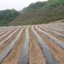 행복한전원공인중개사사무소 이미지