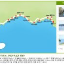 제주 올레길 8코스 이미지