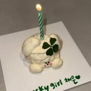 네잎클로버 | 천안 신부동 레터링 케이크 추천 케이꿍 네잎클로버 솔직후기