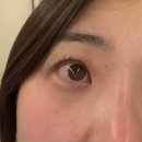합기도 하랑 키즈짐 | 나트랑 여행 / 알마리조트 호캉스 후기, 귀국 밤 비행기 레이트체크아웃없이 리조트 즐기기 편