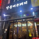 탄통제주돼지