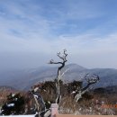 (편집)태백산 눈꽃 산행.. 산지기 고문님 2017.1.18(수) 이미지