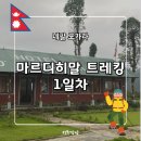 [네팔 포카라] 히말라야 3박 4일 &#39;마르디 히말&#39; 트레킹 - 1일차 (담푸스, 피탐데우랄리)