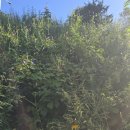 이순신공원 이미지