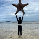 따요PC | 세부 호핑투어 호핑따요 반나절 투어 다녀온 솔직한 후기 / 호핑따요 카톡 예약 방법