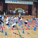 아주초교병설유치원 이미지