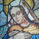 신광목장 이미지