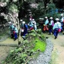 나라메디칼 이미지