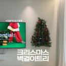 마크라메 벽걸이(행잉)만들기 | [제품리뷰] 루시아이 크리스마스 행잉 벽트리 , 아이있는 집 트리 꾸미기 (내돈내산)