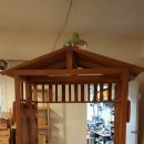 리ㆍ본 프로젝트 이미지