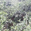 보아공인중개사사무소 이미지