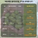 [베오베오 올리브오일] 내돈내산 스페인 유기농 엑스트라버진 인생 올리브유 추천