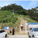 대항새바지 이미지