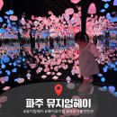 펫 뮤지엄 | 2025 파주 뮤지엄헤이 전시 후기, 아기랑 즐긴 첫 미디어아트 전시관별 테마 정리
