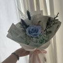 제이;나 플랜트 이미지