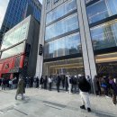 자라 앞 이미지