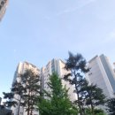 내향형이 살면 좋은 한가로운 석수역 푸르지오 내돈내산 안양만안구 7억대 아파트 6개월거주 후기
