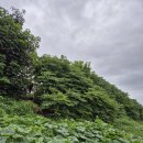 비 피해는 없으신가요? 이미지