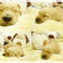 수성동016 이미지