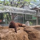 사계절 민물 | 다누리아쿠아리움, 초등 아이랑 다녀왔어요 🐟[국내 최대 민물고기 아쿠아리움 솔직 후기]