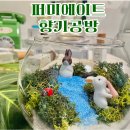 디퓨저 만들기 | 퍼미에이트 서울향수공방 테라리움 디퓨저 만들기 체험 후기