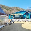 코코블리 애견운동장 이미지