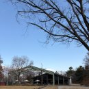 모그린 | 대구 근교 대형 카페 가산수피아 모하 더 그린하우스 내돈내산 후기