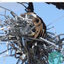 김앤조 내과의원 이미지