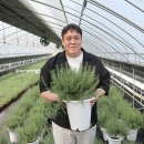 김진성농장 이미지