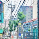 달리핀 에스테틱 이미지