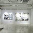 리버플로우즈