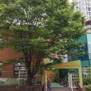 상인초등학교+사랑샘유치원 이미지