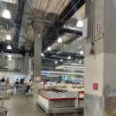 11590-나200 | 코스트코 치즈 추천 가격 총정리