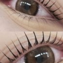 분당-319 이미지