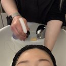 115 | 성북구 미용실 위아르보 성신여대 2호점 헤어클리닉 후기 (w.지니 디자이너)