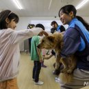 서울오류남초등학교 이미지