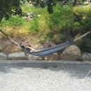 그린팜스테이 이미지